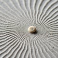 A small, spiral seashell is centered on a meticulously raked sand pattern Royalty Free Stock Photo