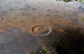 Water Surface Circles Royalty Free Stock Photo