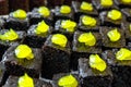 Small sponge cakes laid out on a metal tray Royalty Free Stock Photo