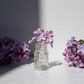 a small sprig of lilac flowers in a small transparent bottle. Small bottle of lilac flowers tincture (cosmetic oil).