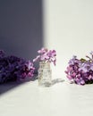 a small sprig of lilac flowers in a small transparent bottle. Small bottle of lilac flowers tincture (cosmetic oil).