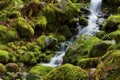 Small spring cascades through mossy rocks