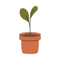 Small sprout growing in compost-enriched soil inside a flower pot. Ideal symbol of successful composting. Royalty Free Stock Photo
