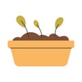 Small sprouts sprouting in compost-enriched soil inside a flower pot. Perfect symbol of successful composting. Royalty Free Stock Photo