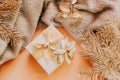 A small square gift with a bow close-up. Royalty Free Stock Photo