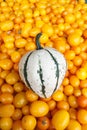 Small squash