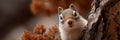 A small squirrel is peeking out from behind a tree branch Royalty Free Stock Photo