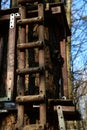 Small stairs in the tree house. Home for flattering animals. Royalty Free Stock Photo