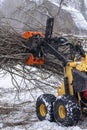 Small stand-on mini skid steer with grapple full of wooden branches mini skid steer with grapple full of wooden branches Royalty Free Stock Photo