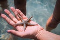 Small starfish on a human hand