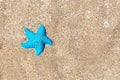 Small starfish of plastic over the beach.