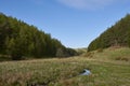 The small steep sided Quharity Valley and stream, near Glen Prosen with Conifer Woods on the Valley sides.