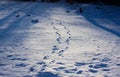 Small steps remains in the snow.Nature landscape in winter, winter background with Carpathian mountain