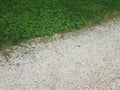 Small stick on pebble or stone path near green grass Royalty Free Stock Photo