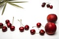 Small still life of cherries and nectarines with palm leaves on white background. Fruits from around the world. Isolated fruits