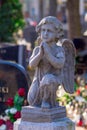 Small stone angel on a cemetery.