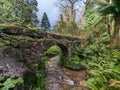 Small stone bridge over a creek in the forest Royalty Free Stock Photo