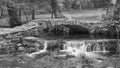 Small stone bridge over a small river in a forest Royalty Free Stock Photo