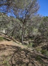 A small Stone Bridge on part of the Footpath on the Trail to the Peak of El Santo, near to Pizarra. Royalty Free Stock Photo