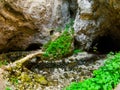 Small stone bridge in Rakov Skocjan