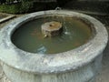 Small stone fountain with pile of murky water and fish Royalty Free Stock Photo