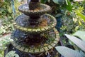 Small stone fountain in tropical garden. Fountain in vase in asian backyard. Zen and peace concept. Royalty Free Stock Photo