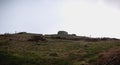 Small stone house in the Irish countryside