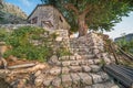 Small stone house next to an old tree on a mountainside Kotor Montenegro