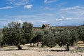 small stone ruin with olive trees in the foreground