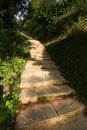 Small stone steps in forest Royalty Free Stock Photo