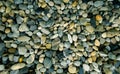 Small stone texture background. Pebble stone on the beach. River stone for garden decoration. Smooth texture gray rock with