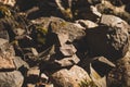 small stone turrets in the forest. stone sculptures