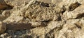 Small stones in the center of the old city. The gray cobblestones are laid out in order, like road tiles. Natural gray and brown Royalty Free Stock Photo