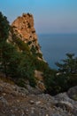 Small stones, forest, green trees and bushes, sharp rocks, cliff against the backdrop of blue sea in red orange light of setting s Royalty Free Stock Photo