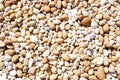 White Pebble stone background nature beauty. Royalty Free Stock Photo