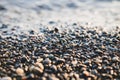 Small stones by the sea with bokeh effect. Blurred decorative background, place for text. Summer wallpaper, sunny sunset