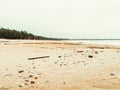 Small stones, seashells, sticks and dry reeds on the beach