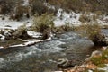 A small stormy speech flows down from the mountains in the banks overgrown with shrubs, powdered with the first snow Royalty Free Stock Photo