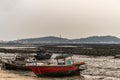 Small stranded sloops and oyster beds in Ban Bai Bua, Thailand Royalty Free Stock Photo