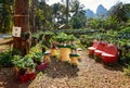 Small strawberry farm. Strawberry bushes with berries are in rows in pots.