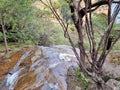 Small Stream and cascade at the top of the Leura Cascades in the Blue Mountains of New South Wales Australia Royalty Free Stock Photo