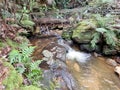 Small Stream and cascade at the top of the Leura Cascades in the Blue Mountains of New South Wales Australia Royalty Free Stock Photo