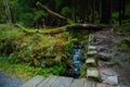 A small stream with cascades flowing along the tourist trail