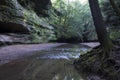 Small stream and cliff