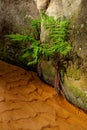 A small stream in the cliffs of Aderspach, Czech Republic Royalty Free Stock Photo