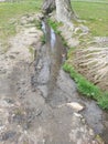 Small stream close up Topciderski park Belgrade Royalty Free Stock Photo