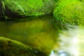 Small stream covered in cool steam Royalty Free Stock Photo