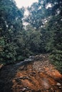 Small stream crossing the rainforest of sabah borneo malaysia Royalty Free Stock Photo