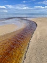 Tannin Water Stream and Tri-colored Heron Beach Royalty Free Stock Photo