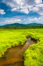 Small stream and distant mountains at Canaan Valley State Park,